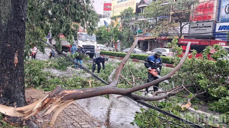 Storm Kajiki leaves 3 dead, 13 injured, and thousands of homes damaged