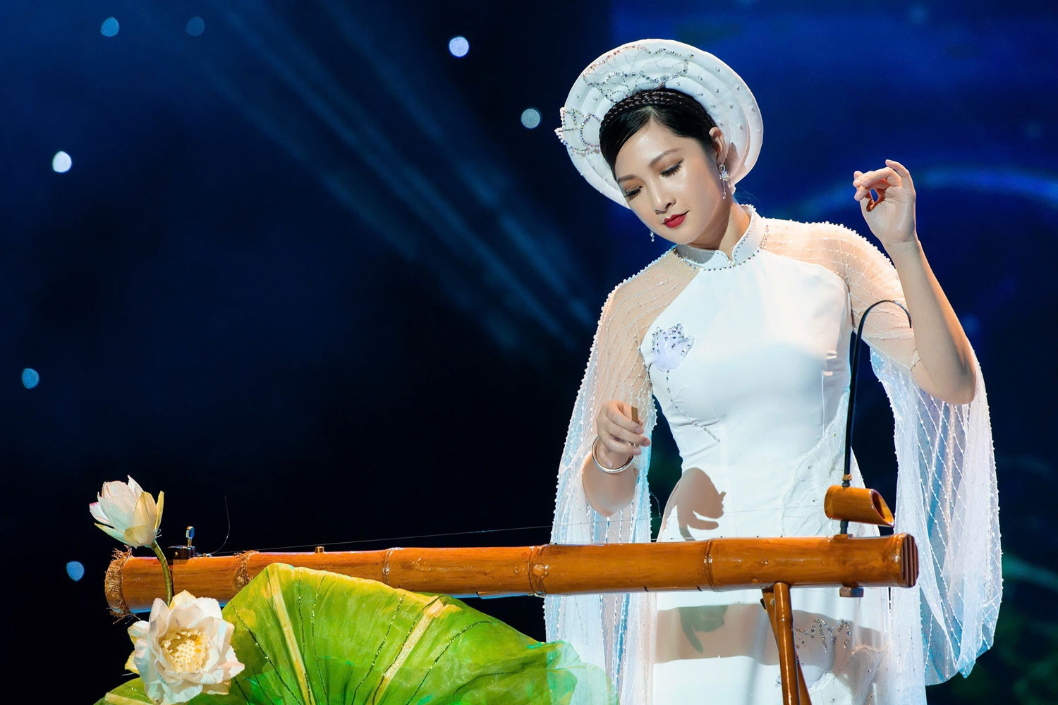 Artist brings the sounds of Vietnam’s the dan bau to the world