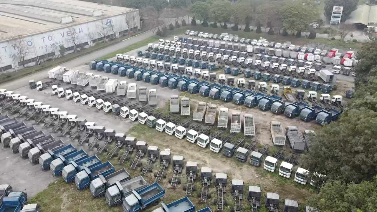 dau gia VEAM LeDuong.jpg