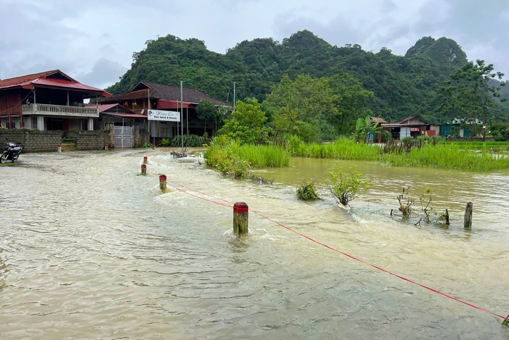 e0912756 baa5 4b3f bcf4 89248ca43ddc.jpeg