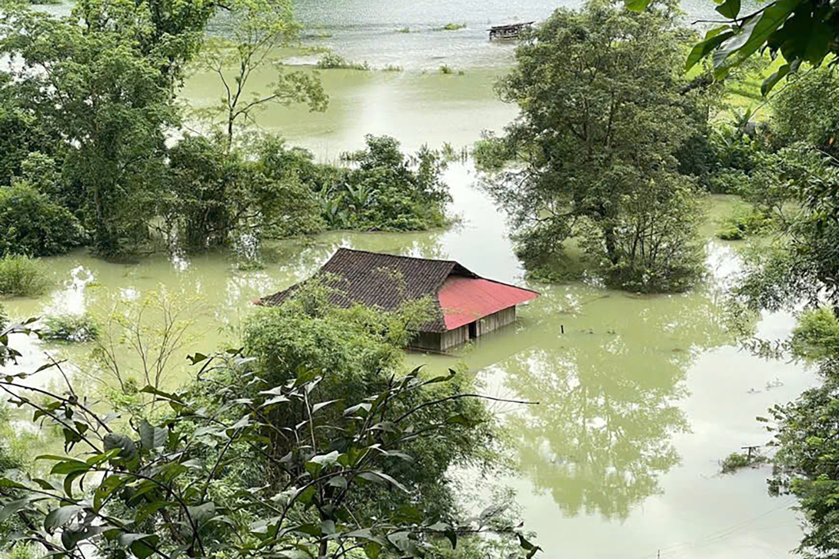 65bbece5 d865 42e1 bd37 5fe2ee20b1ba.jpeg