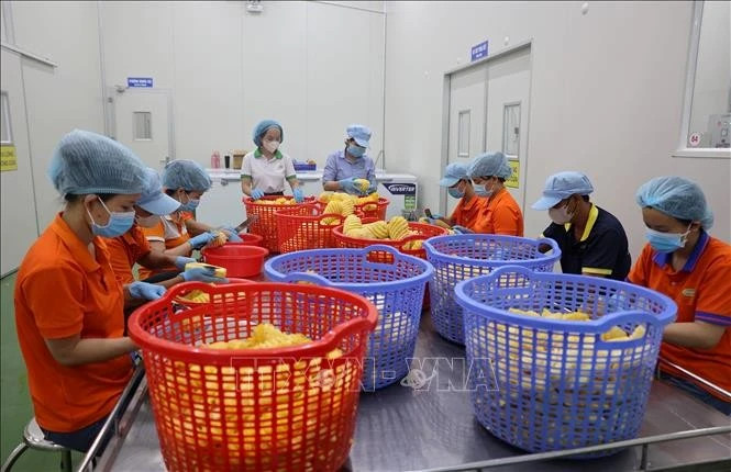 Ho Chi Minh City bets on next-generation industry to power growth