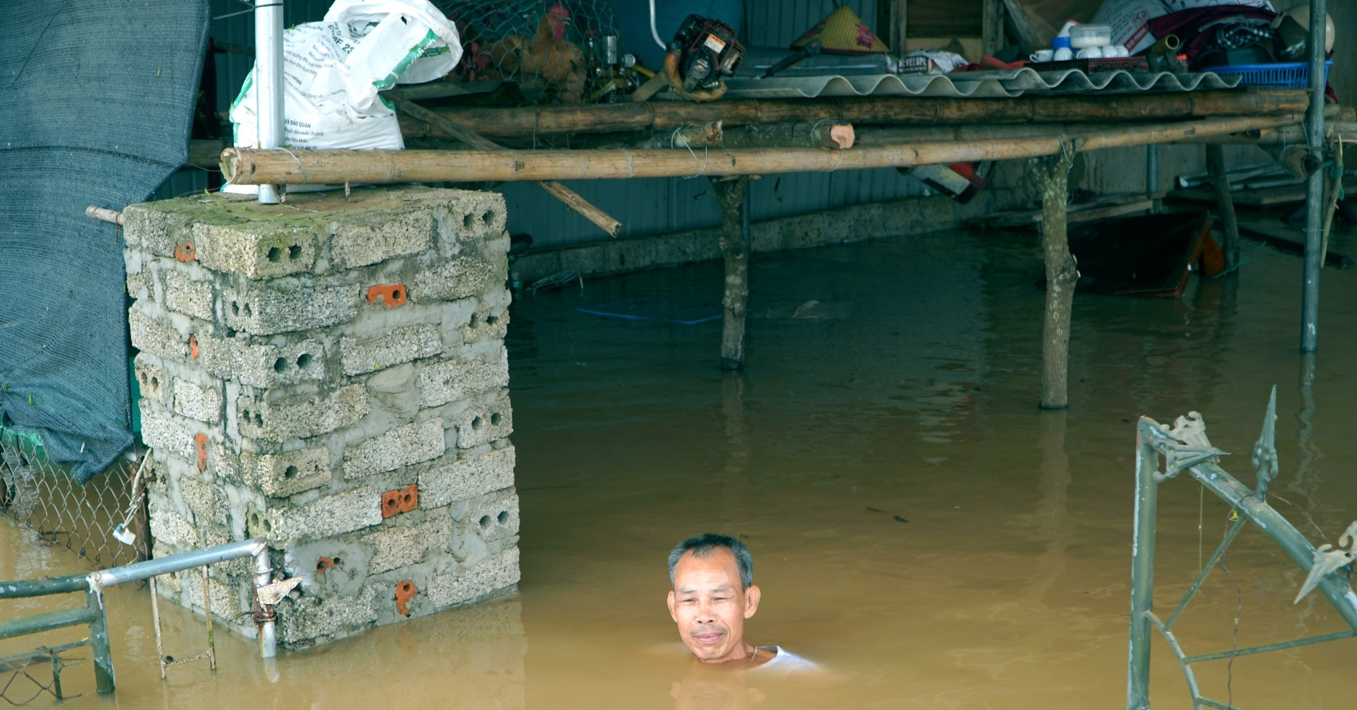 Thousands flee as floods swamp Thanh Hoa, homes and animals submerged