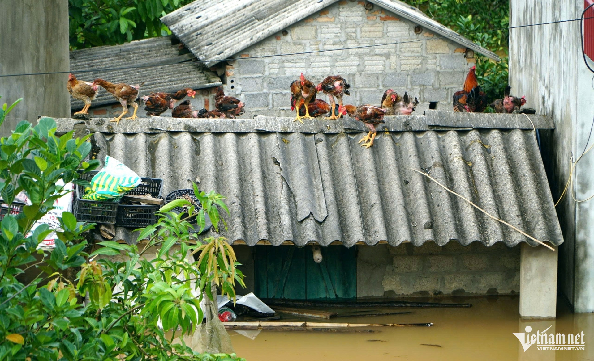 W-a7Người dân vùng rốn lũ Thanh Hóa.jpg