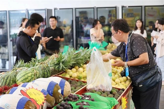 Vietnamese fruit sales thrive in China’s booming market