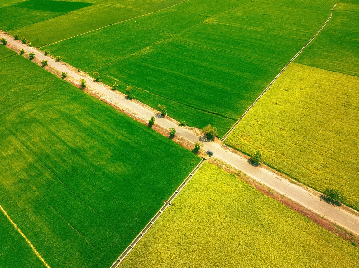 fishing village vn15.jpg