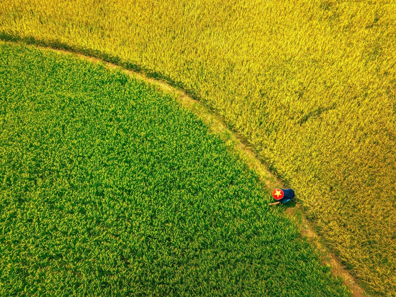 fishing village vn16.jpg