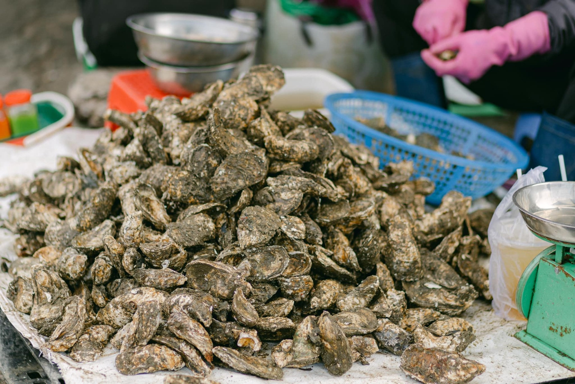 fishing village vn5.jpg