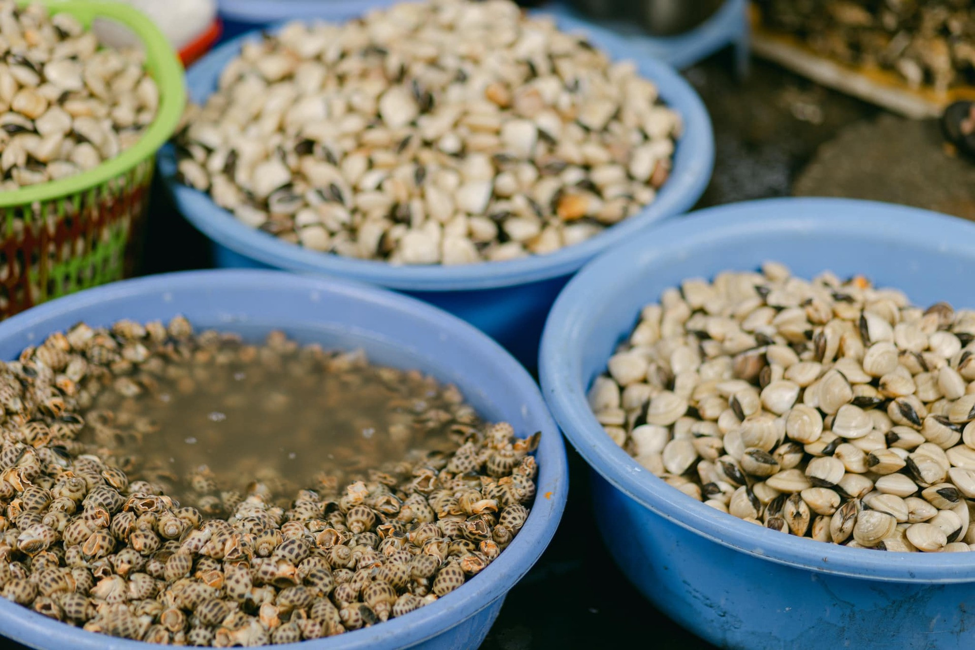 fishing village vn6.jpg