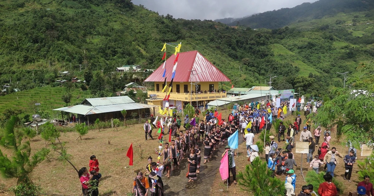 Ngoc Linh ginseng festival showcases national treasure to world