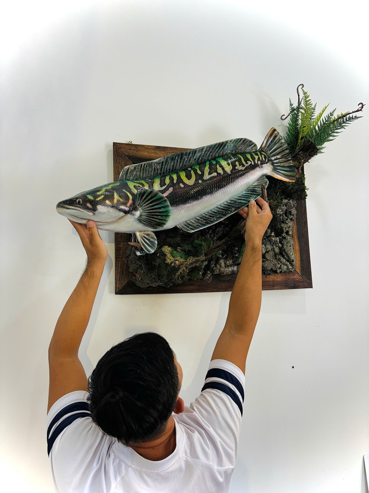 vietnam odd job.jpg11.jpg