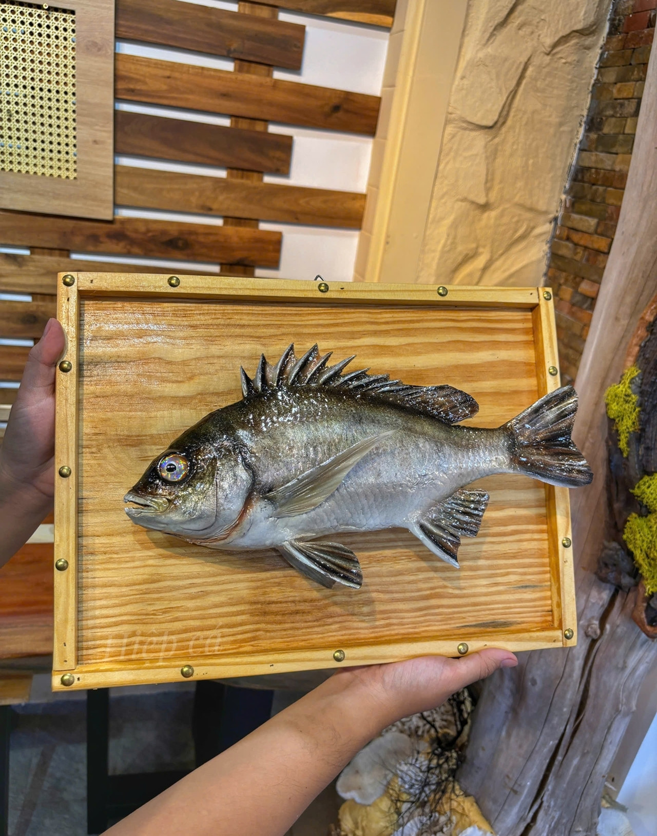 vietnam odd job.jpg7.jpg