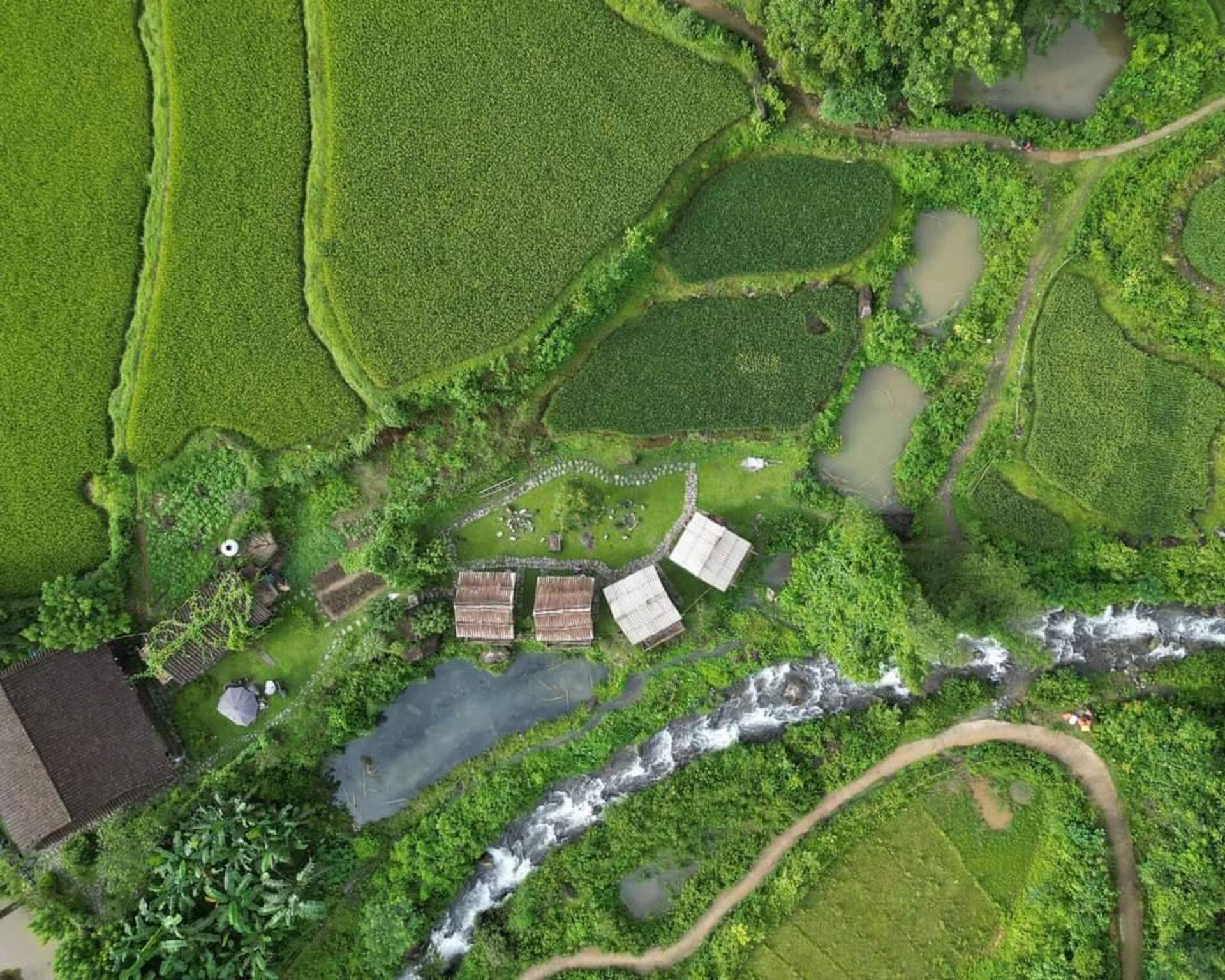 chàng trai dao tiền làm homestay