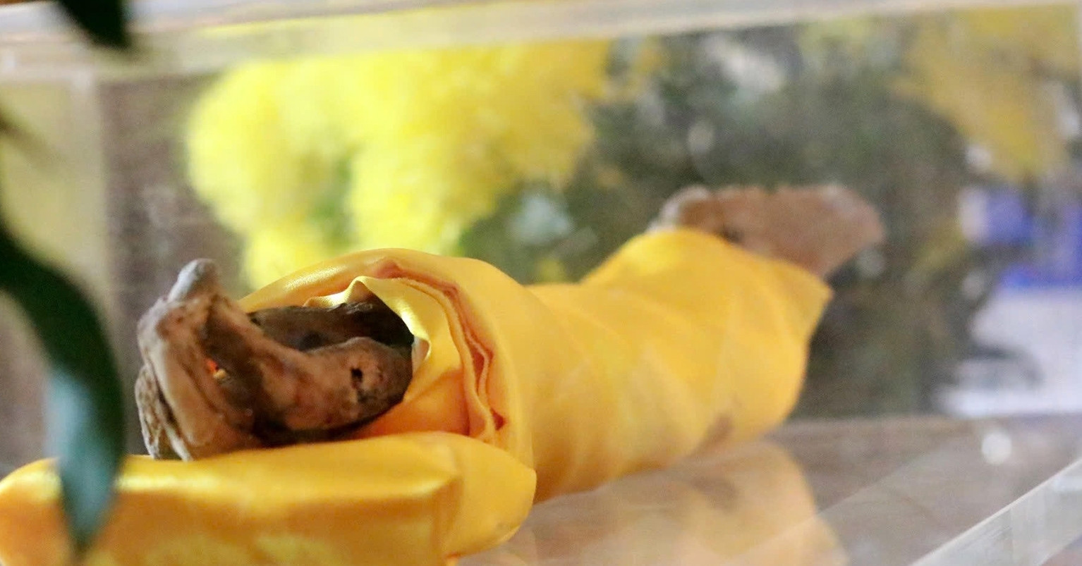 Monk severs own arm as offering to Buddha, remains intact after 46 years