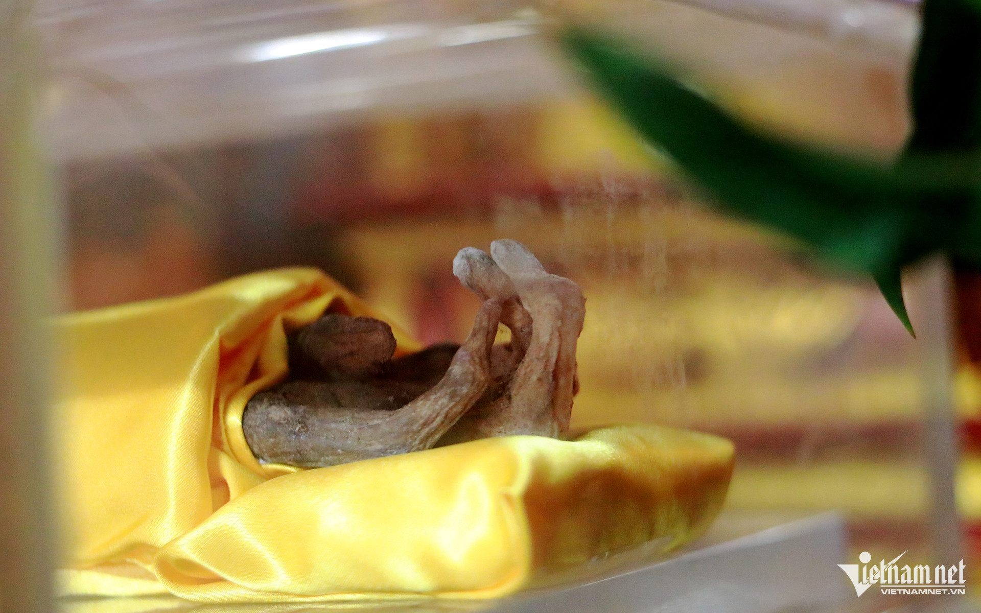 W-a tuấn (5) copy.jpg