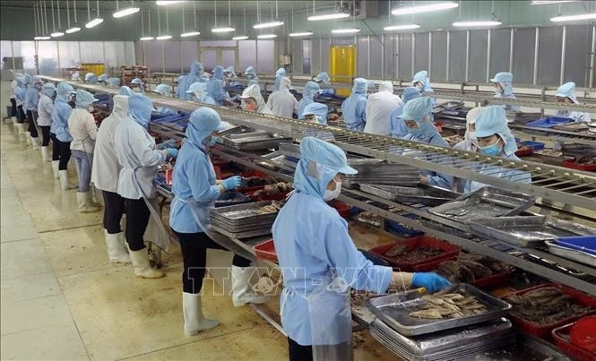 US cuts tariff to 20% on Vietnam, investment unaffected: expert