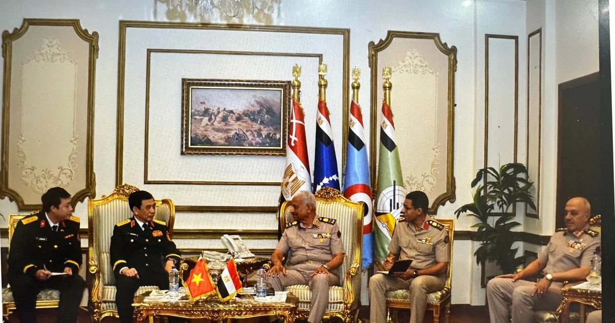 Vietnam, Egypt bolster defence cooperation