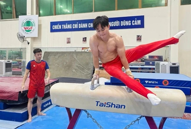 Vietnam gymnasts eyes SEA Games medals