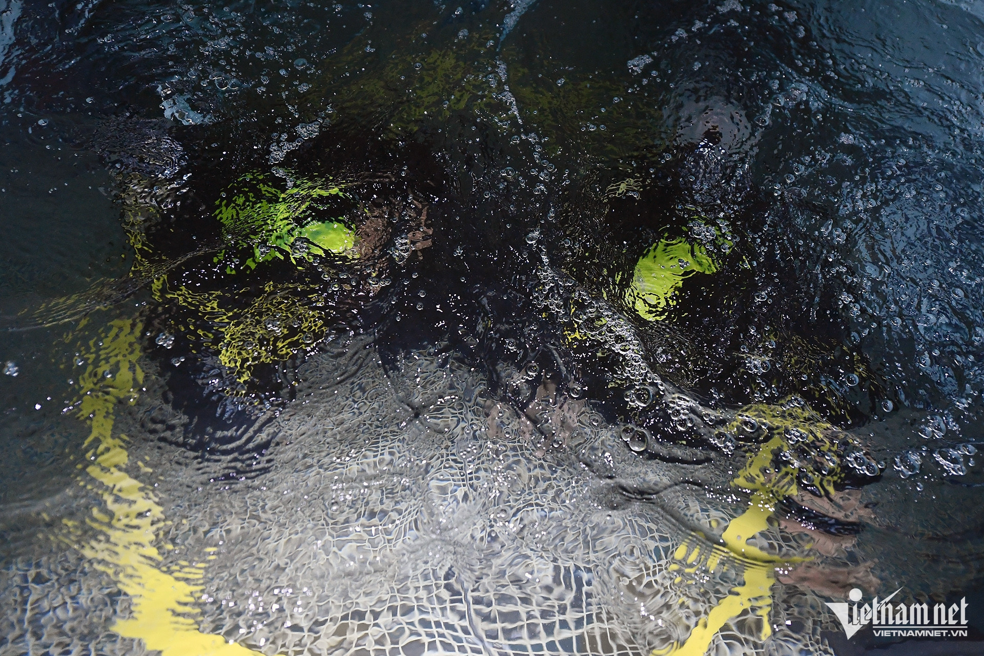 vietnam divers12.jpg