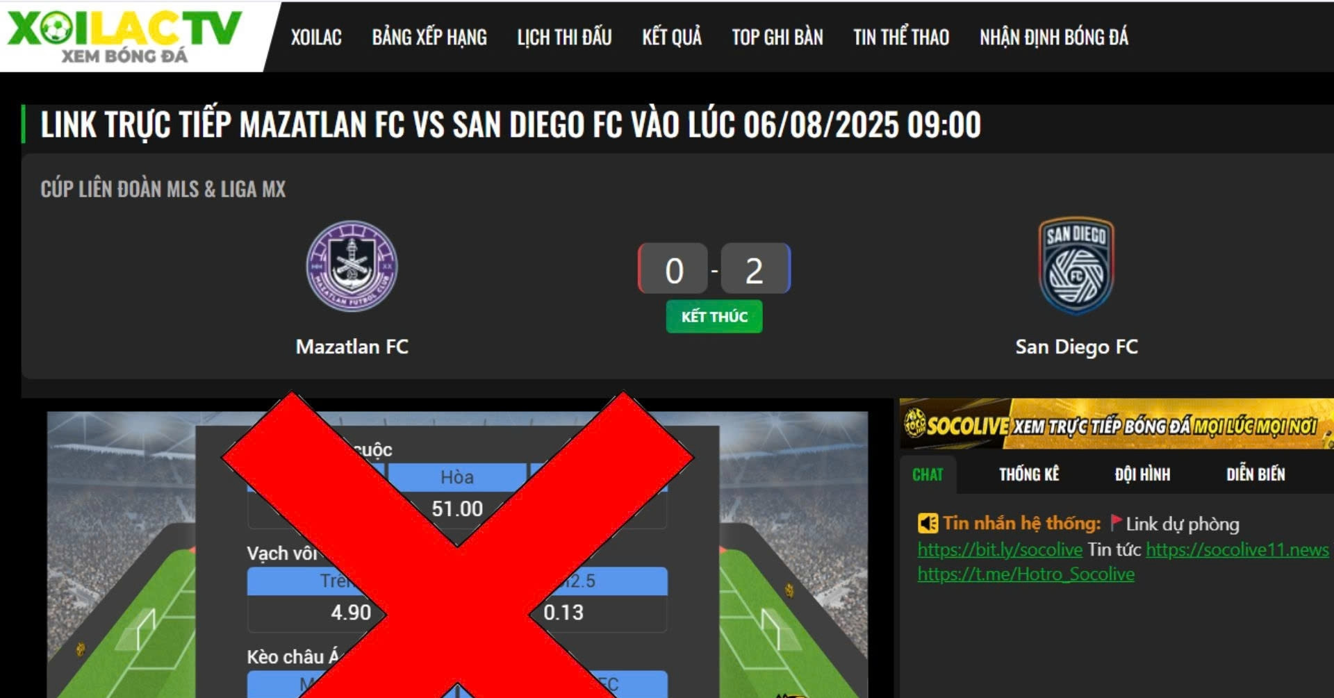 Digital piracy in Vietnam: a battle between free access and fair use