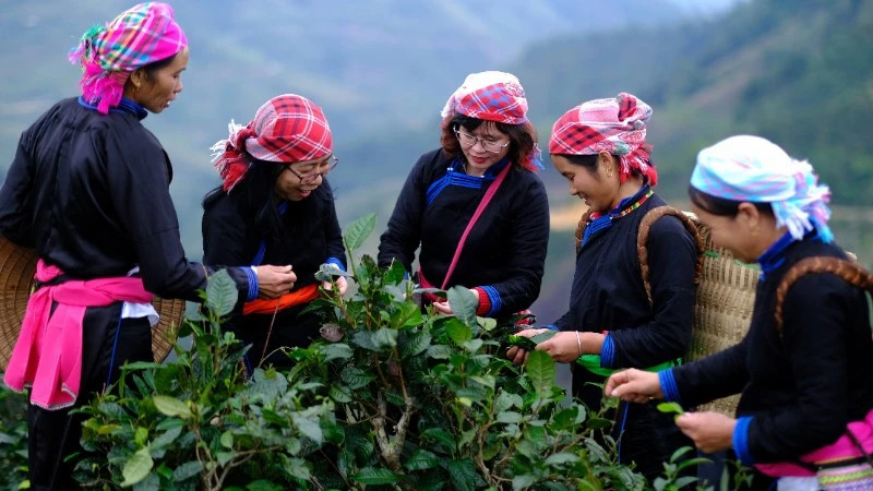 Vietnamese travelers lead in AI-powered tourism adoption