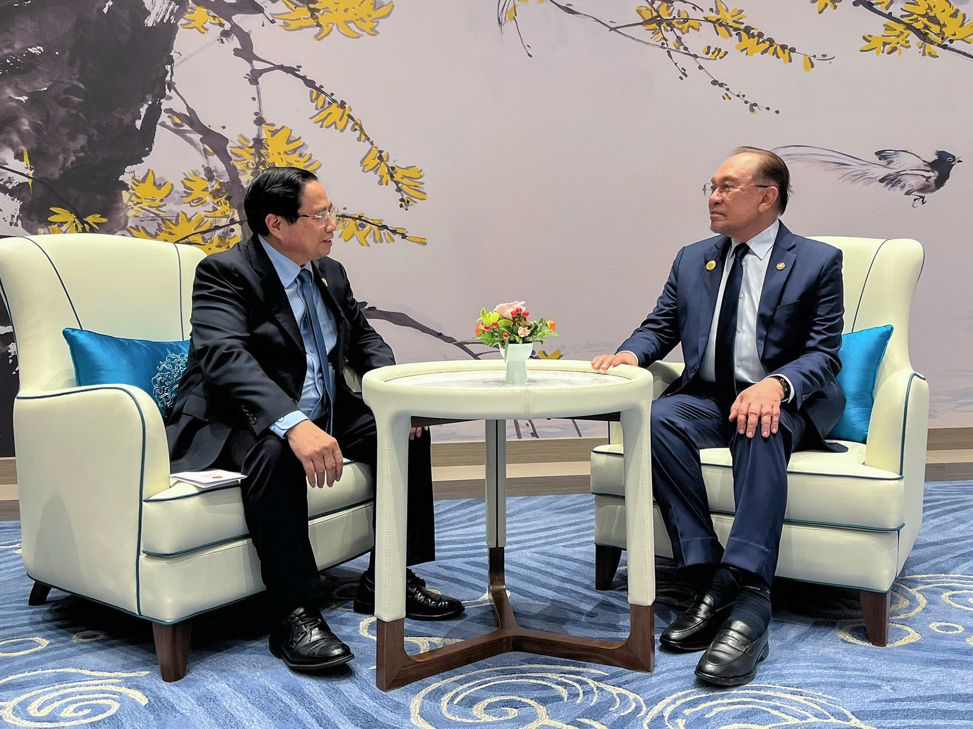 img5565 1756707158422814346510.jpg