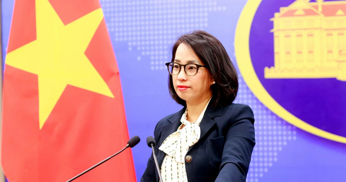 Vietnam ready to take citizen protection measures in Nepal, Qatar: Spokeswoman