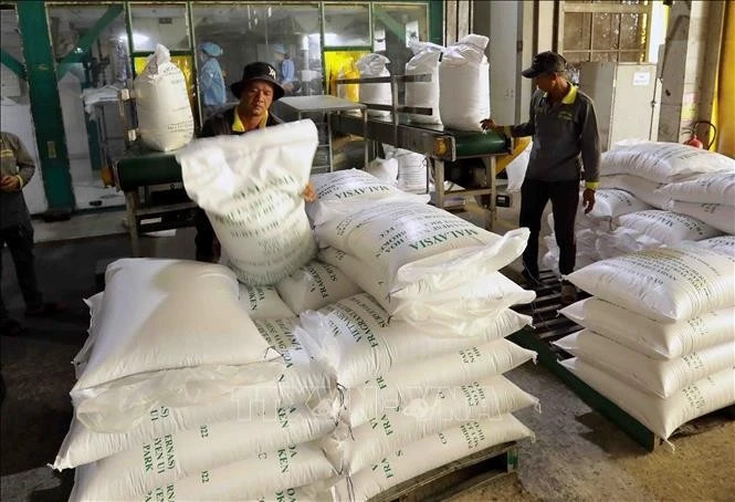 VN rice exports remain stable despite import pauses by Philippines, Indonesia