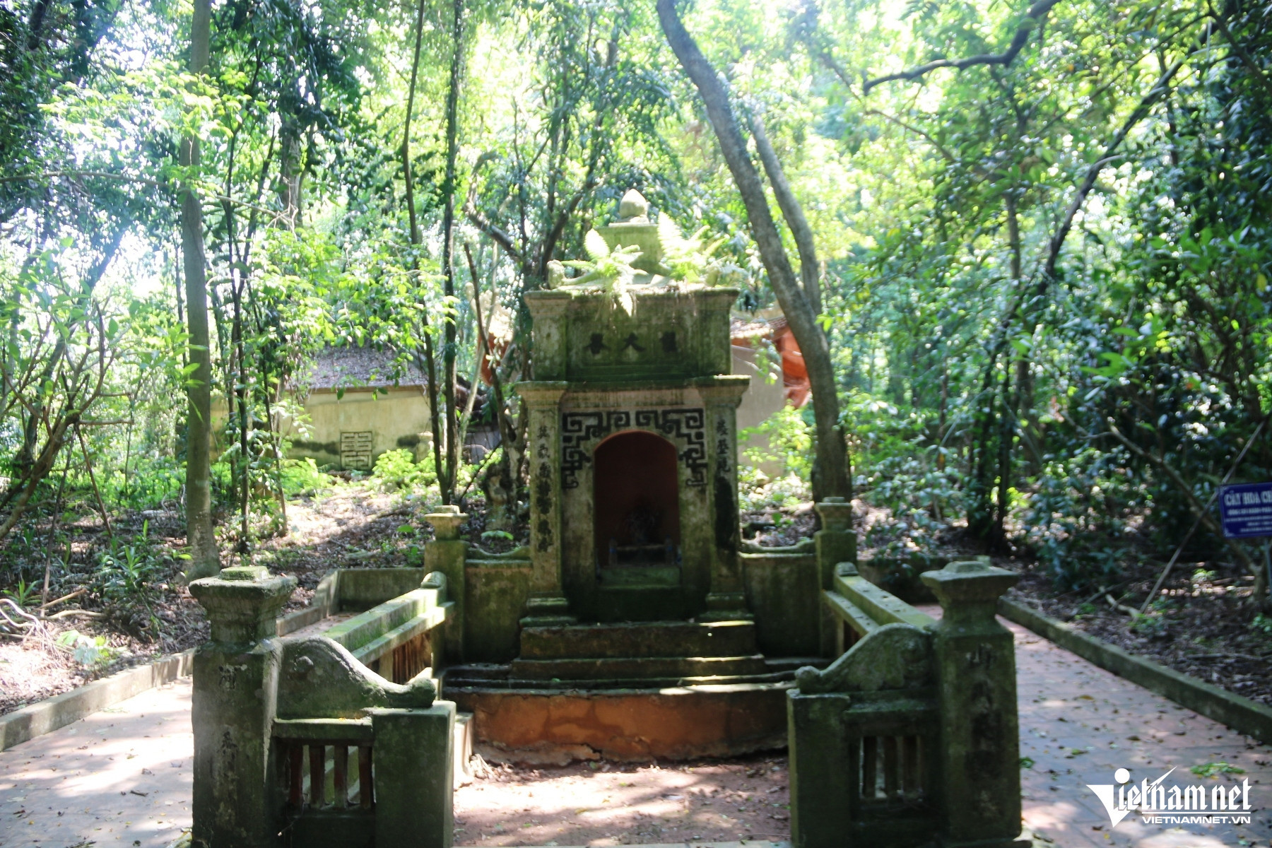 W-Nhồi Hoa 2222.JPG.jpg