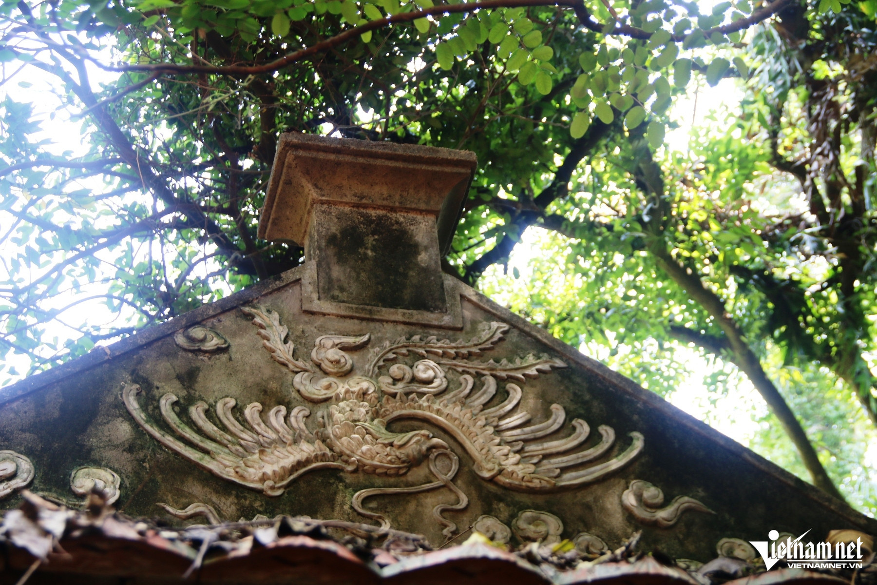 W-Nhồi Hoa 999.JPG.jpg