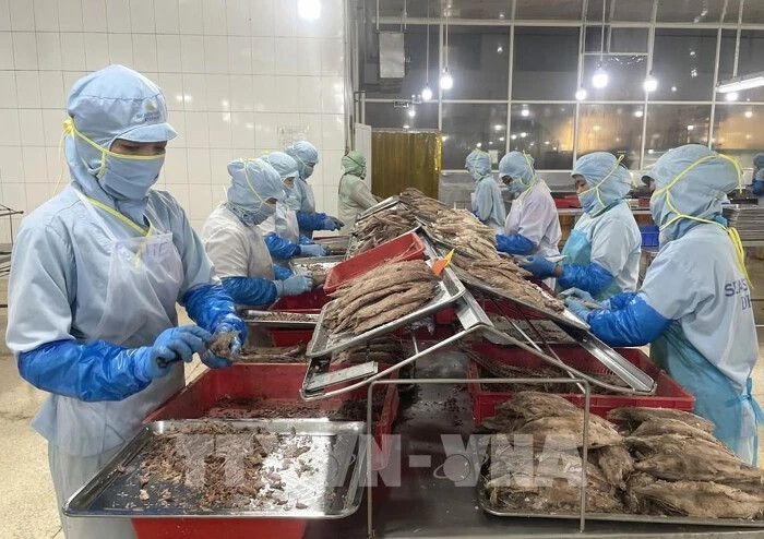 Vietnam eyes EU as key destination for agro-forestry-fishery exports