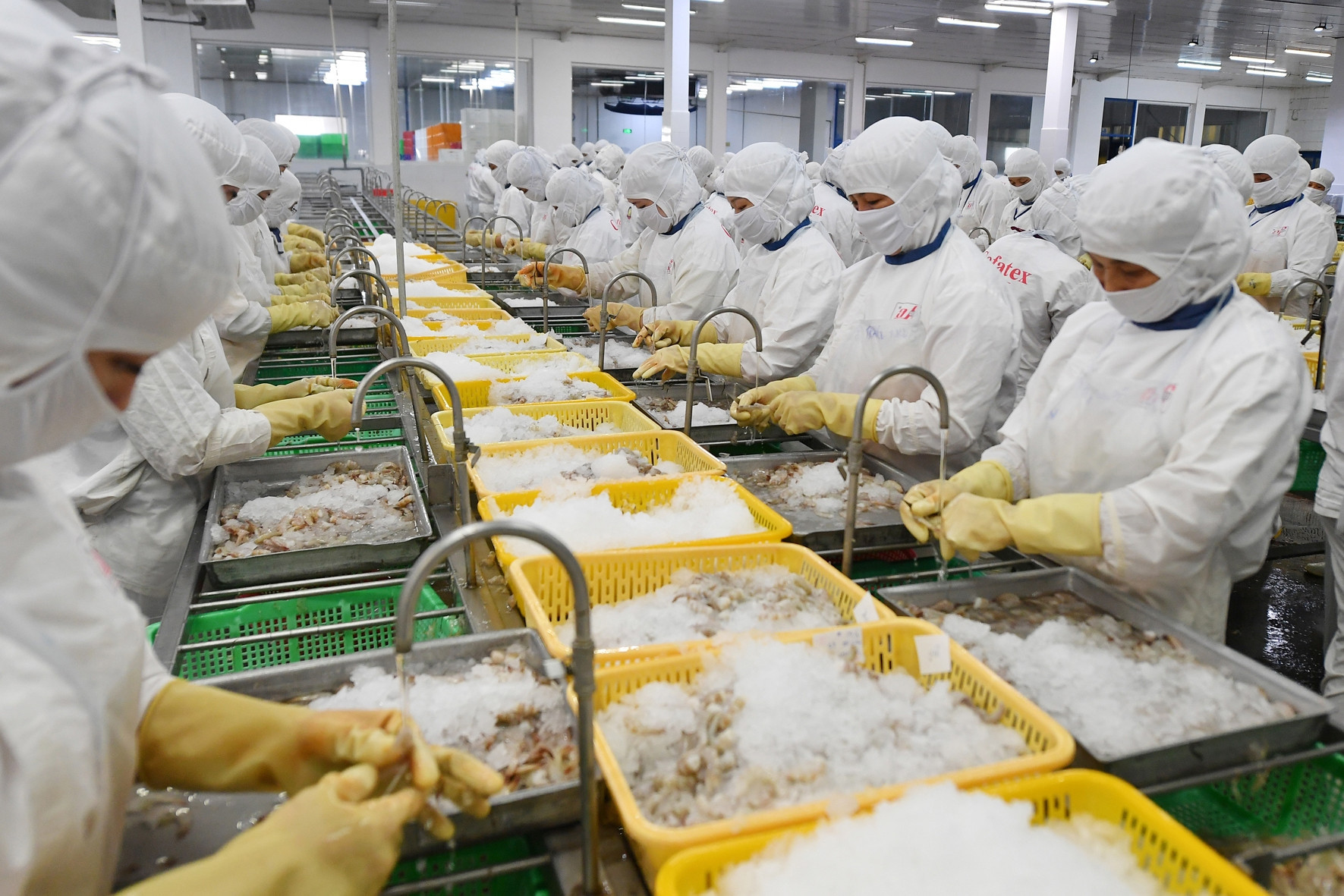 Vietnam takes urgent action to retain access to US seafood market