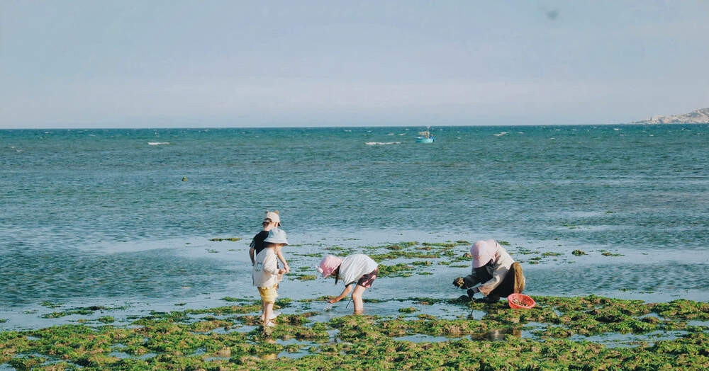 Five scenic fishing villages in Khanh Hoa perfect for seaside escapes