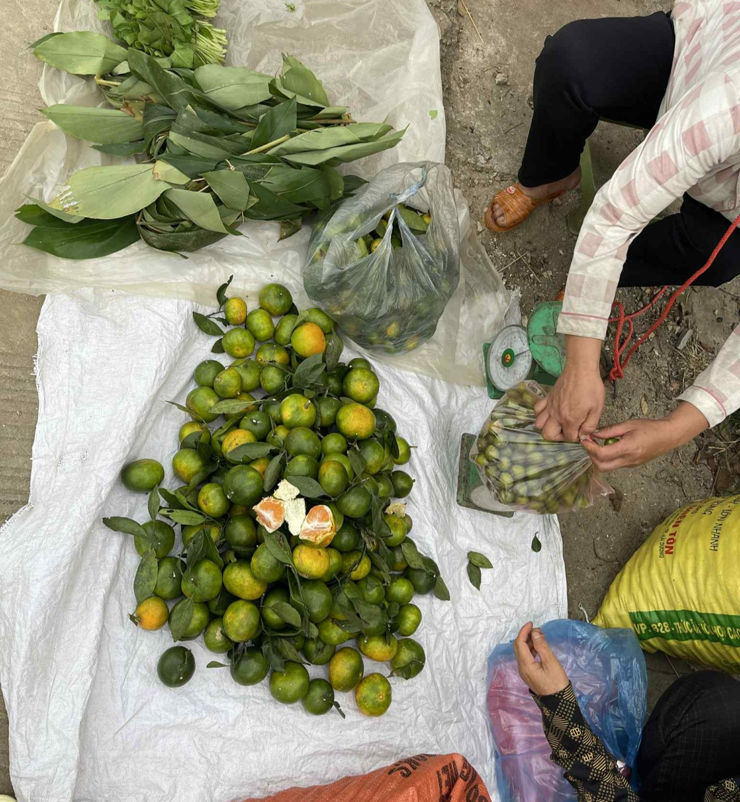 9f25da35 67a8 454c b946 dc744b307e98.jpg