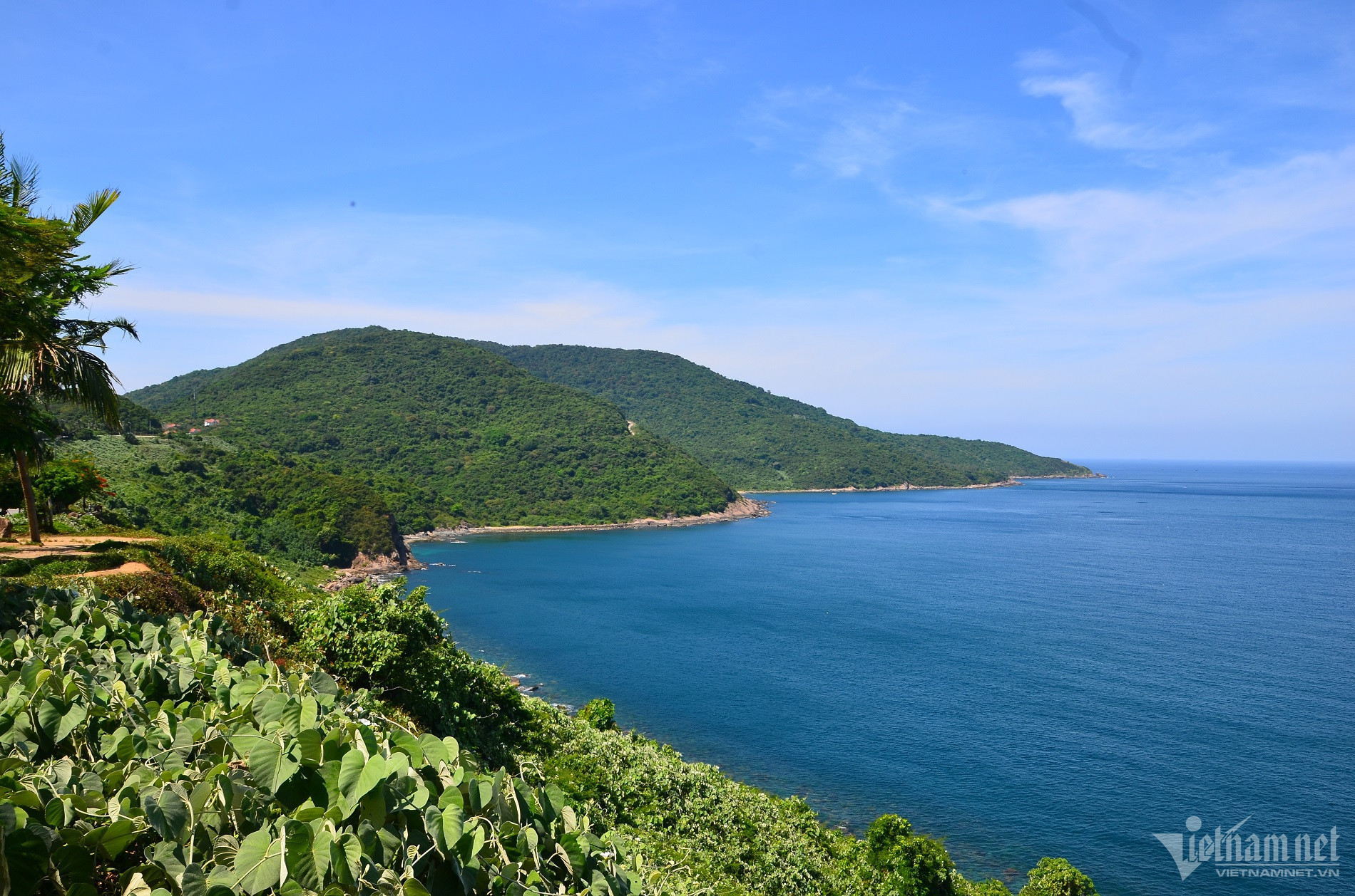 w bd son tra 1 1 777.jpg