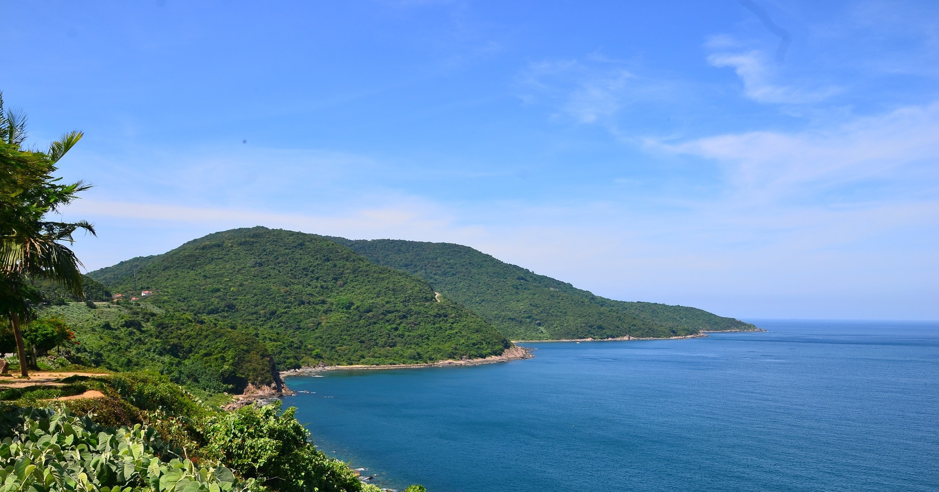 Son Tra Peninsula reopens to visitors after landslide-related closure