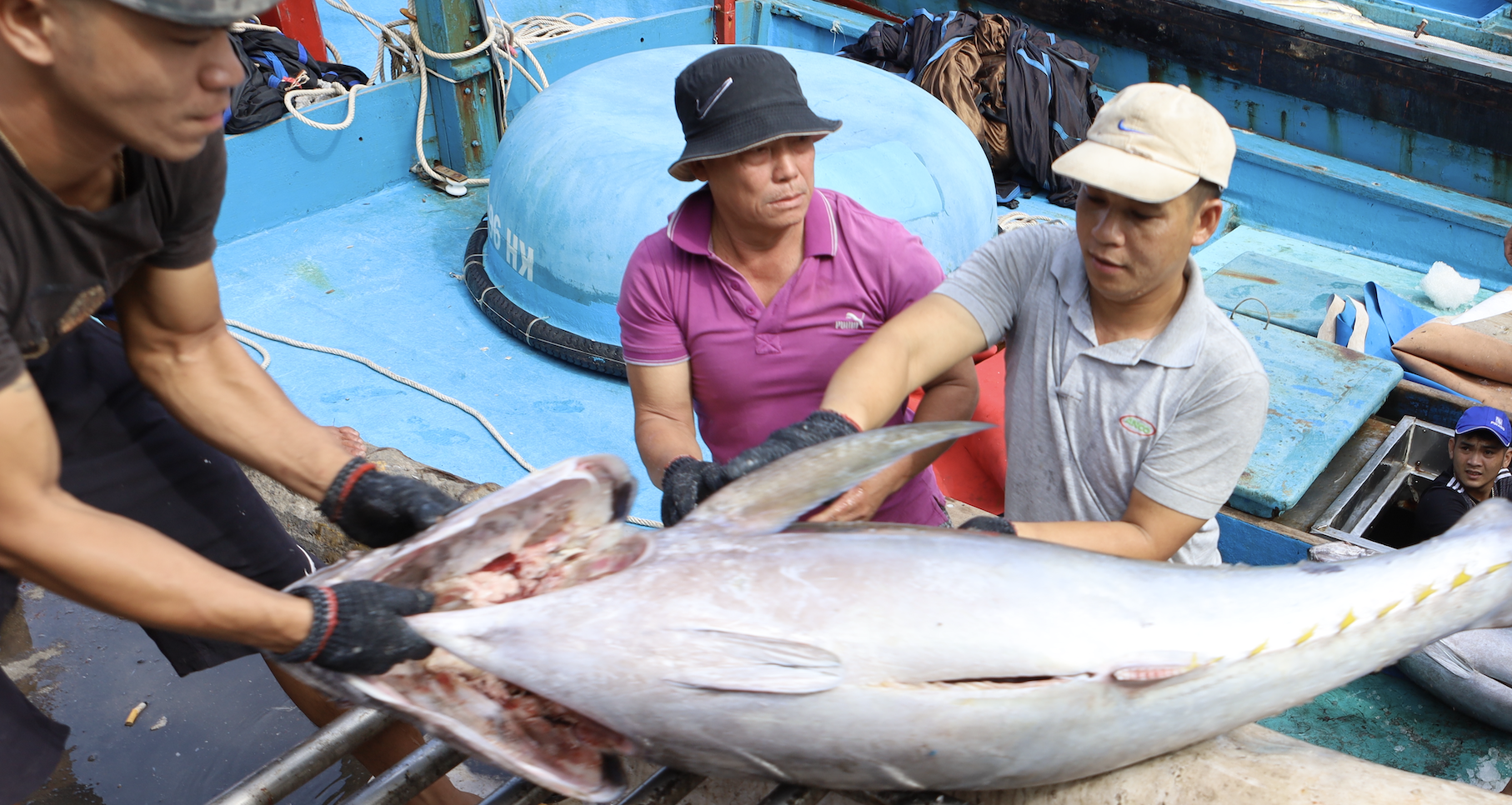 Vietnam urges U.S. to reconsider seafood import ban
