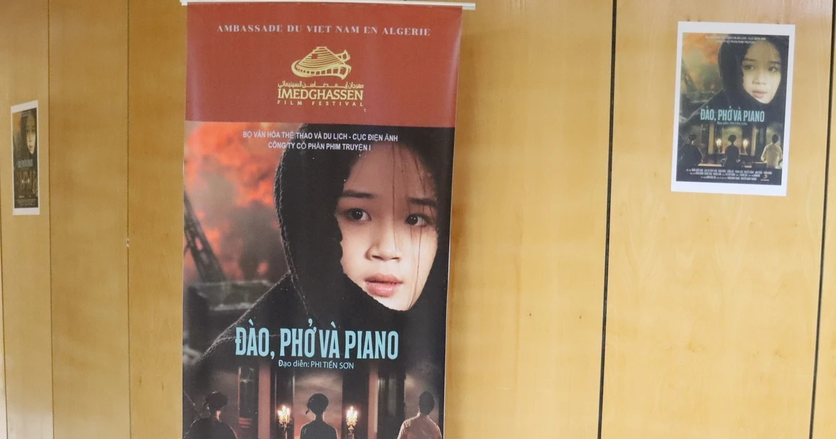 Vietnamese films reach African audiences