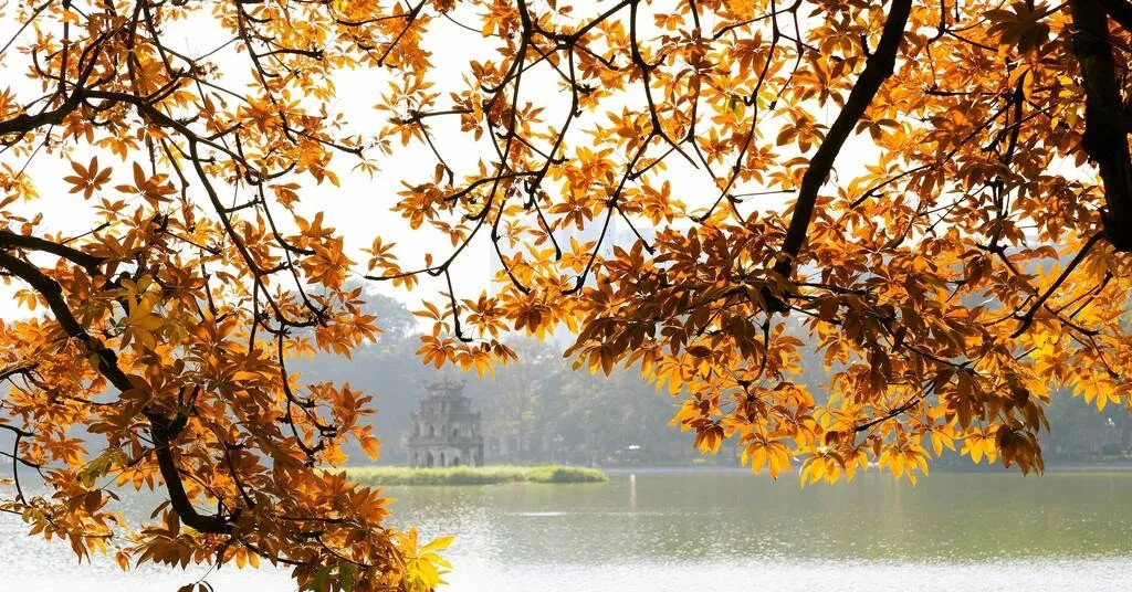 Hanoi makes Time Out list of Asia’s top fall foliage destinations
