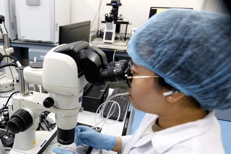 Policies issued to attract experts in sci-tech digital transformation
