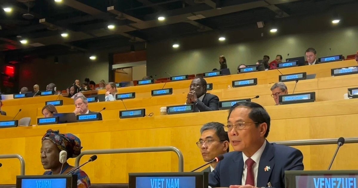 Deputy PM calls for action to deliver on SDG financing at UN Summit