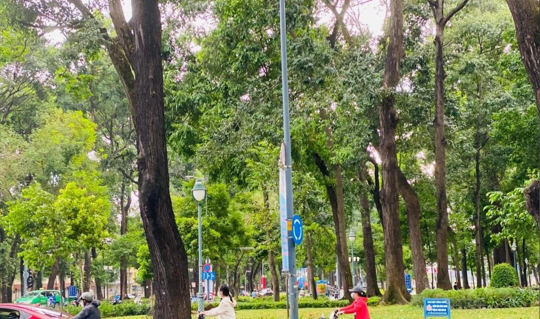 HCM City seeks solutions to return to bicycle-friendly era