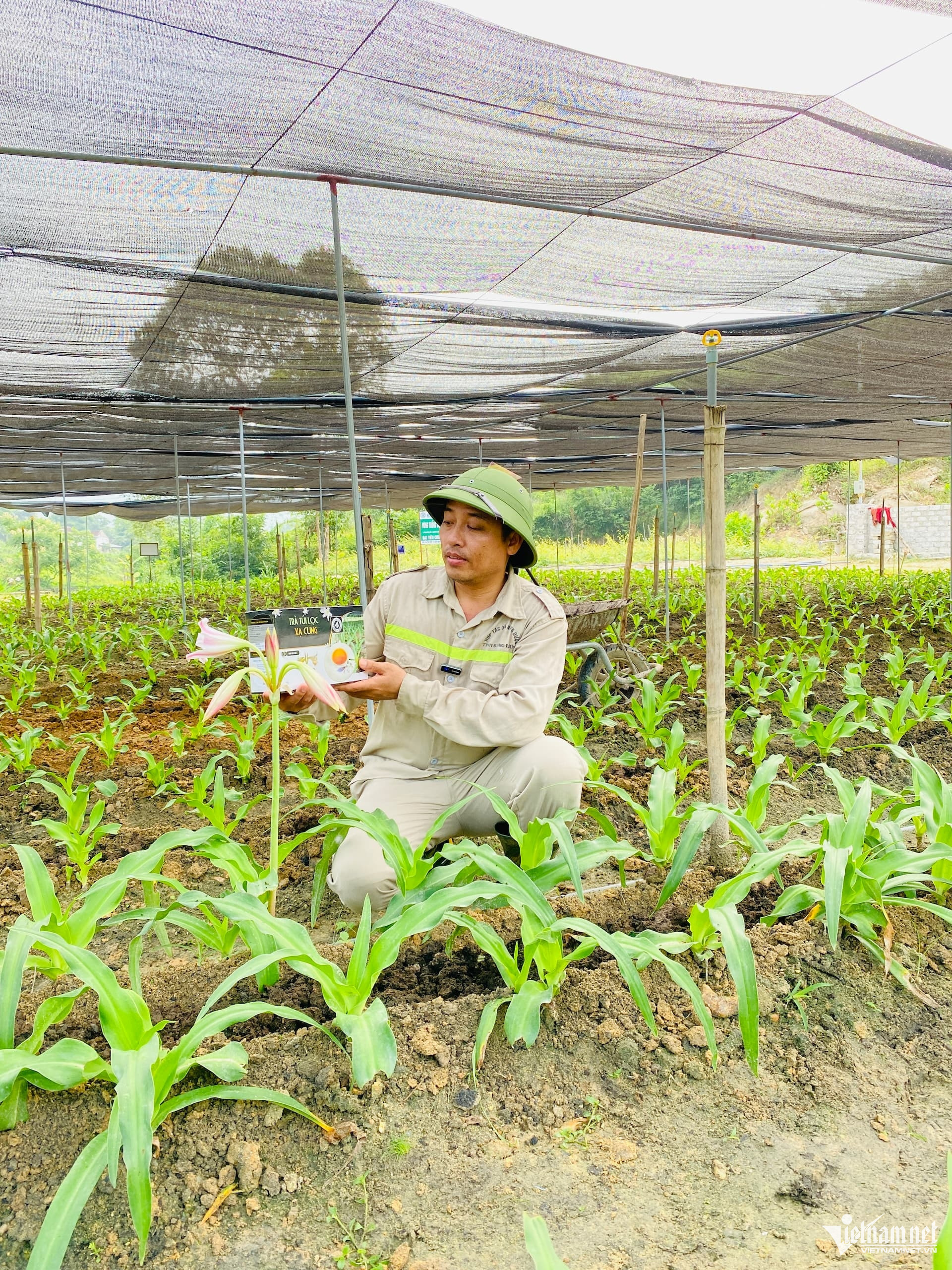 W-Vườn ươm cây Xạ Cung (1).jpg