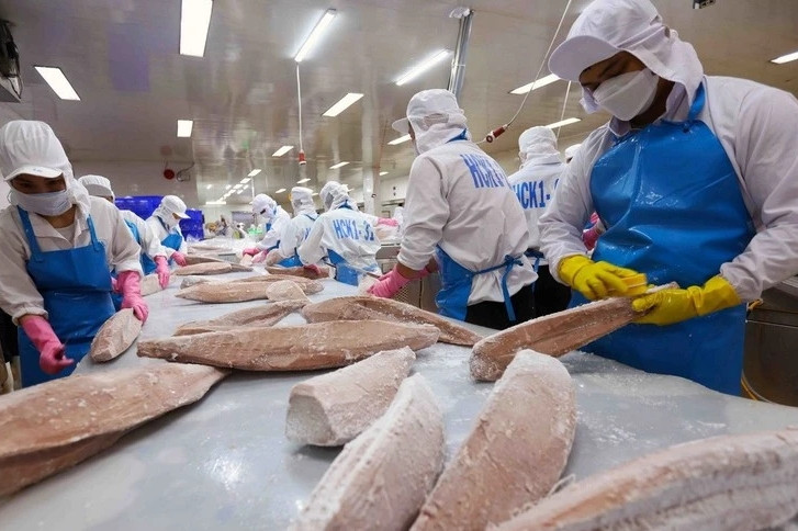 Vietnam’s aquatic exports surge toward 10 bln USD amid trade hurdles