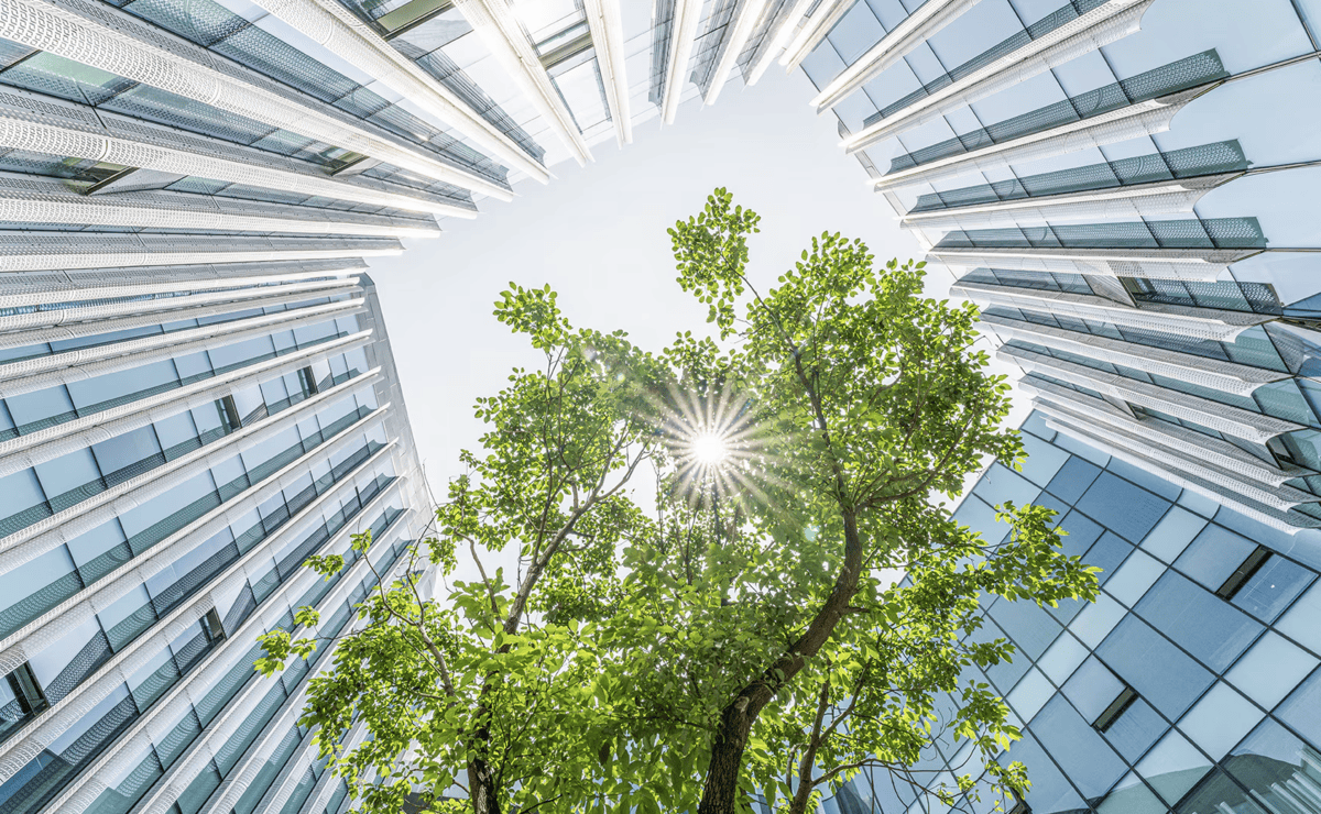 Businesses may not survive the next 10 years without going green: survey