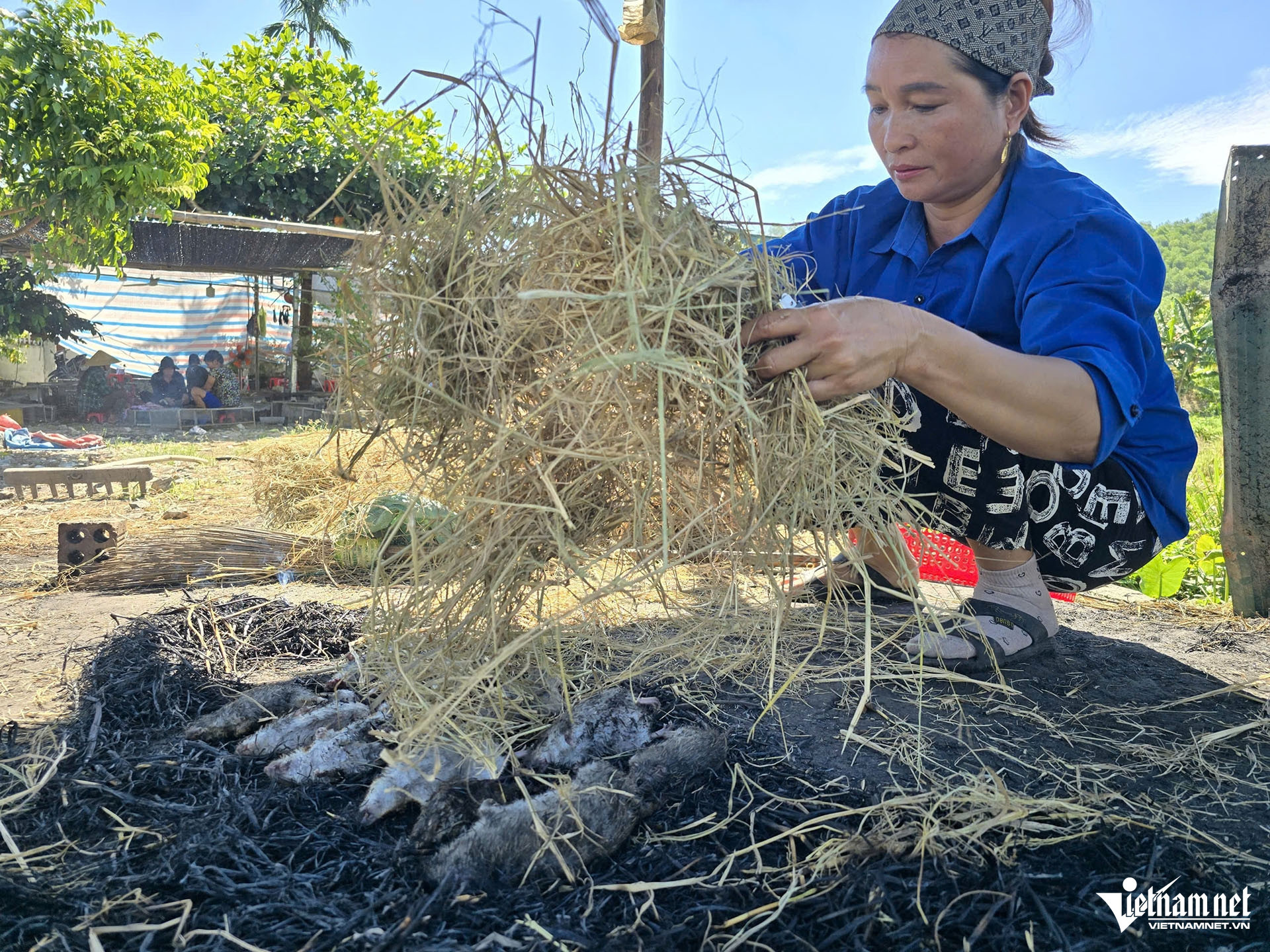 W-Chuột yên thành thêm3.jpg