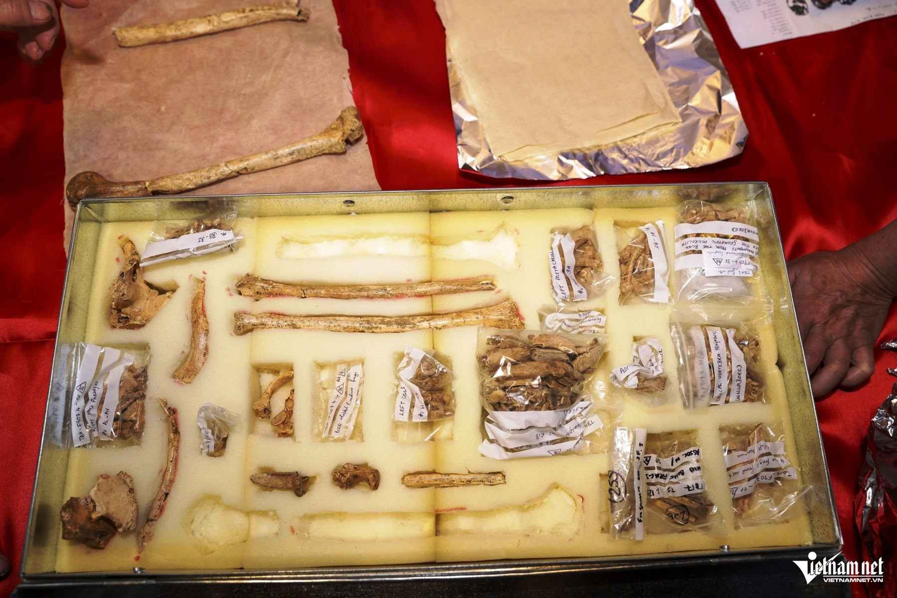 W-z6991778194865 e6332b6d9bbadb86d7dc2c4fa24b534e 2462.jpg