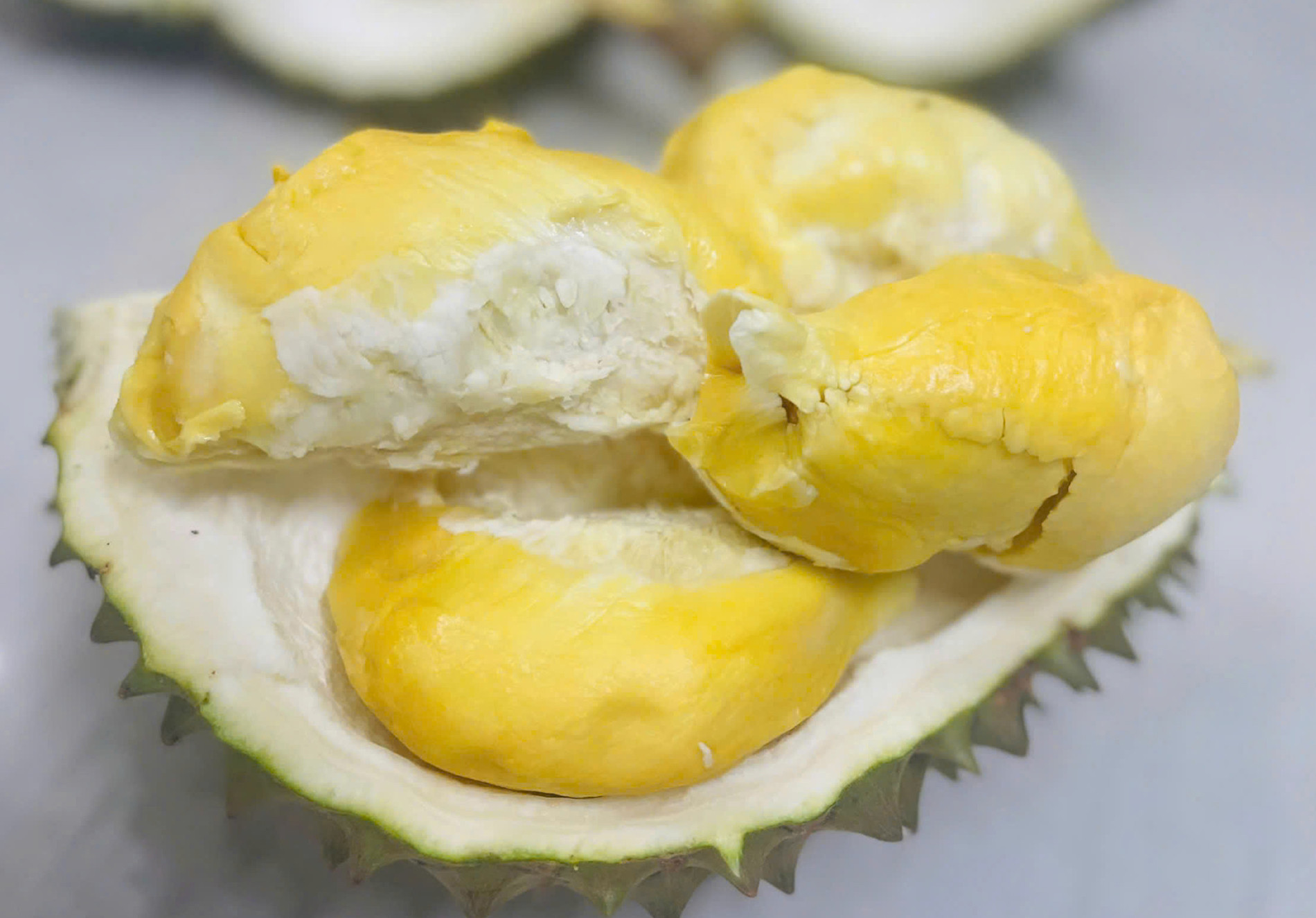 Sầu riêng 3H 5.jpg