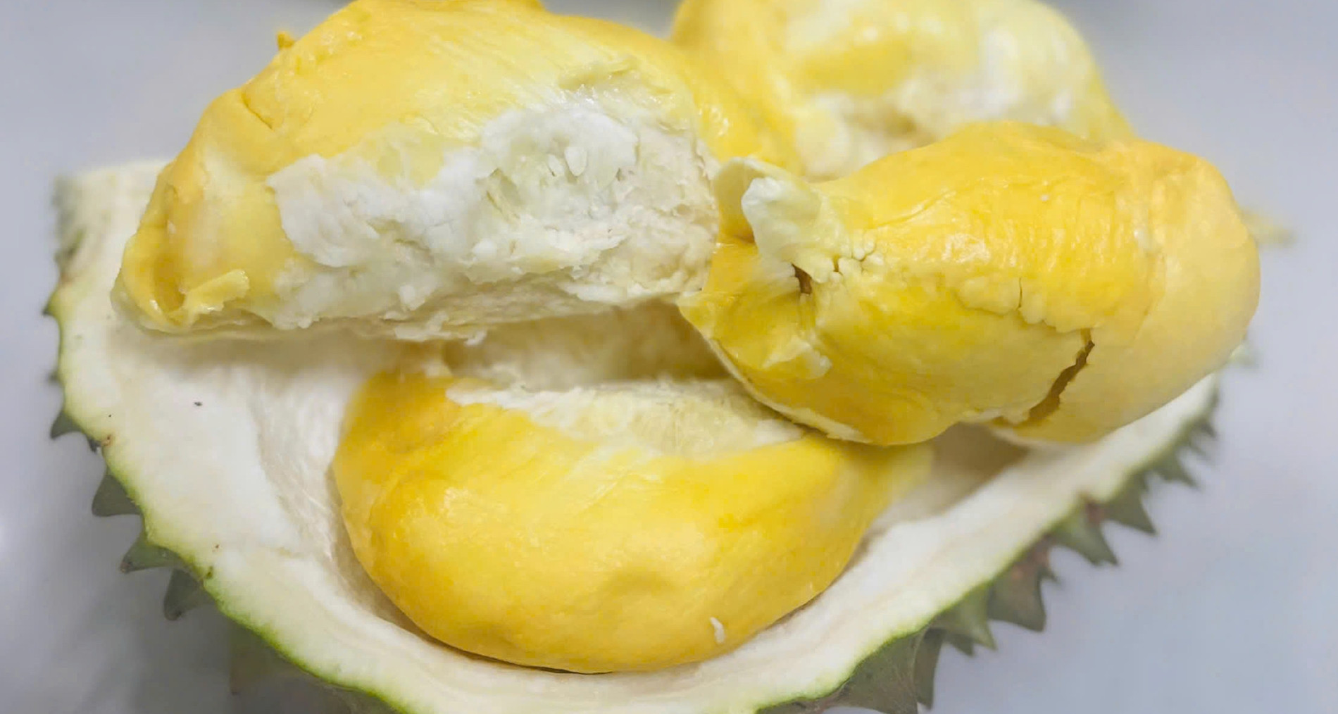 Mekong farmer grows rare durian worth $29/kg, wins over fruit lovers