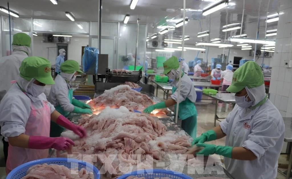 Turning seafood by-products into billion-dollar industry